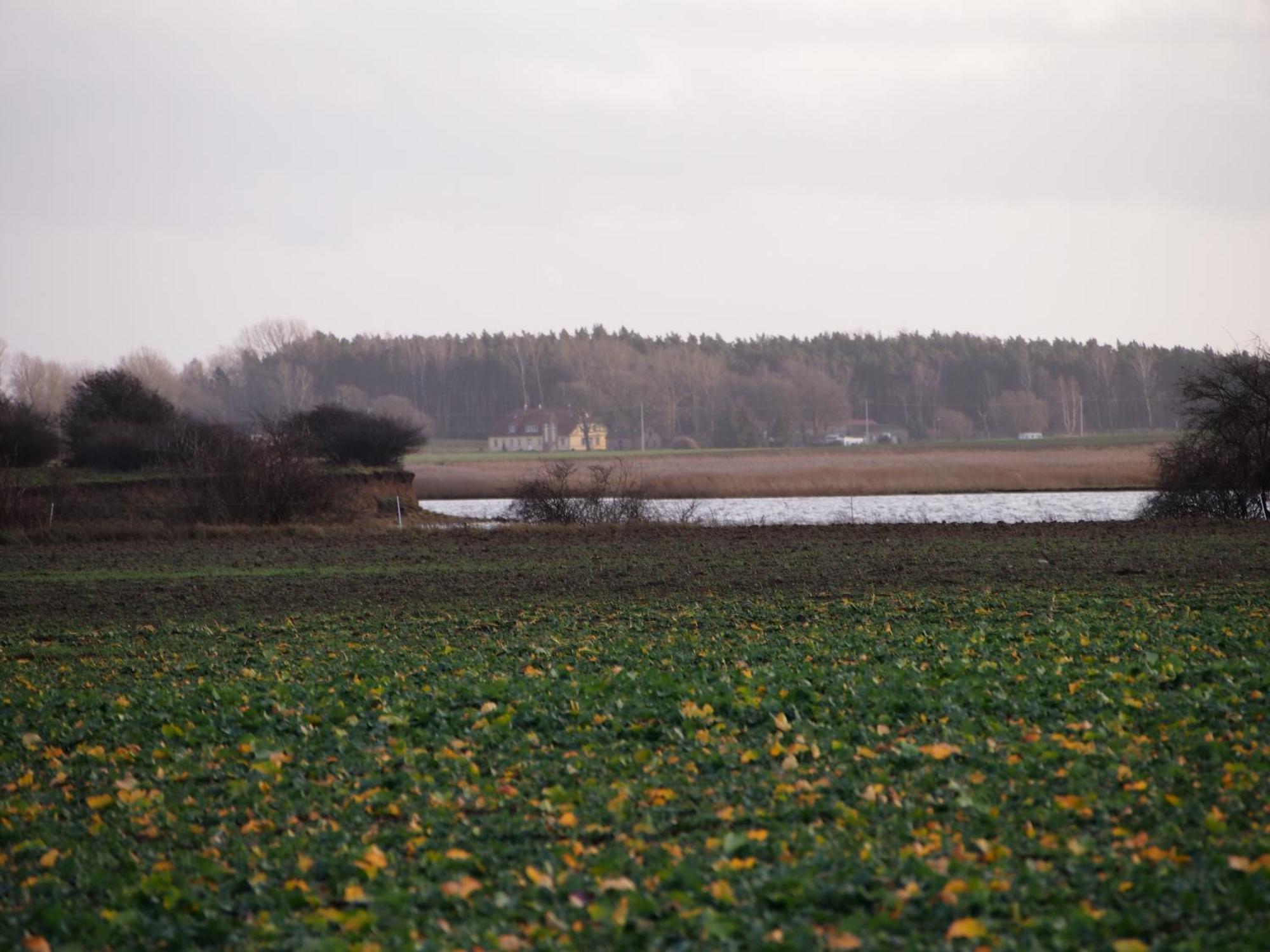 Ferienhaus Gut Rattelvitz Insel Ruegen Gingst المظهر الخارجي الصورة